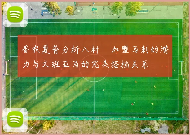 香农夏普分析八村塁加盟马刺的潜力与文班亚马的完美搭档关系